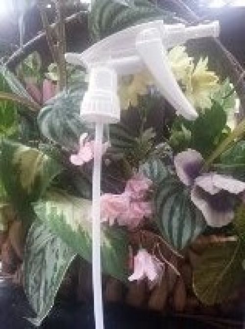 Foamer Sprayer - No Bottle