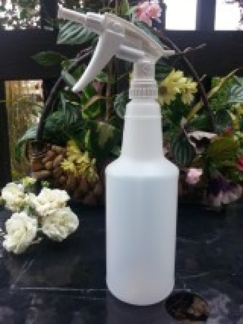 Bottle and Foamer