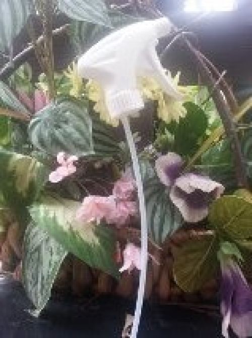 Trigger Sprayer - No Bottle